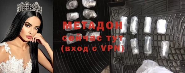 прущие грибы Губаха