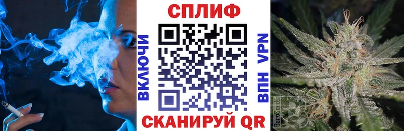 маркетплейс клад купить Орлов Канабис SATIVA & INDICA